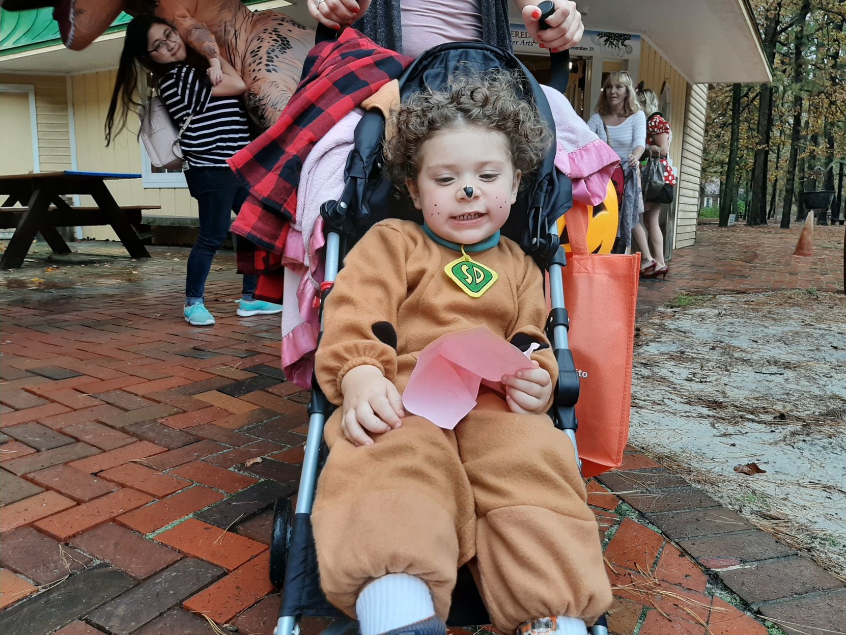 SEEN at HalloWheaton_24
